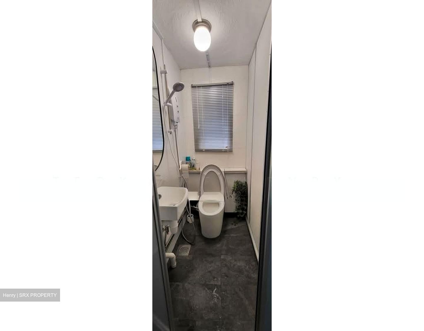 Blk 79 Tiong Bahru Estate (Bukit Merah), HDB Executive #547407231